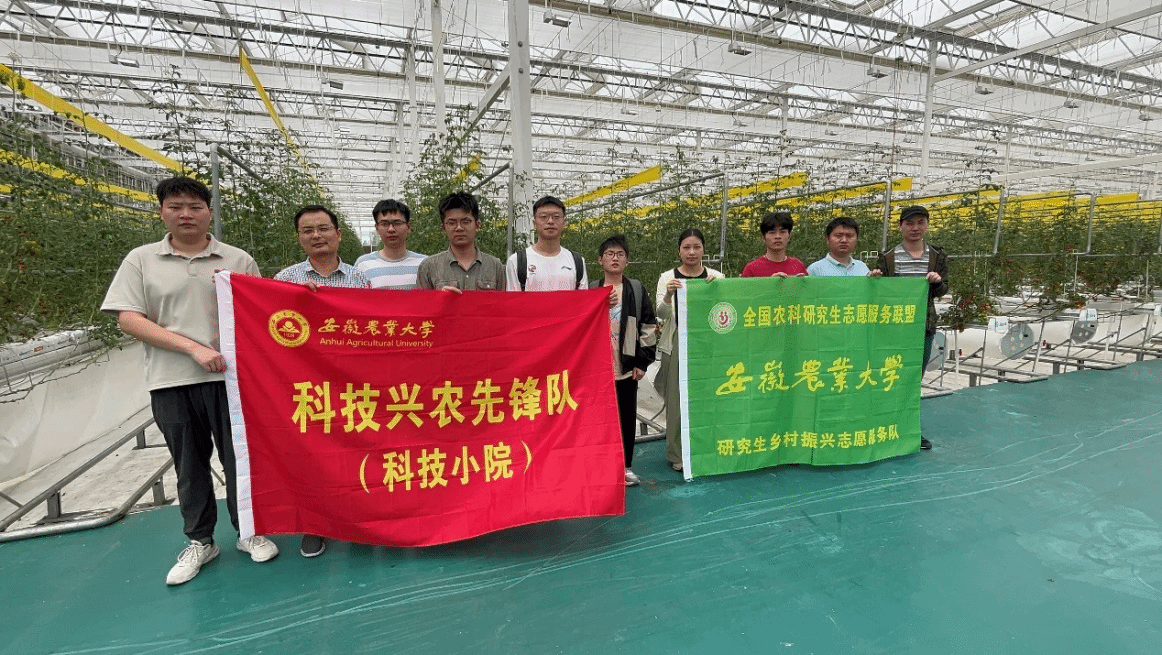 信息与人工智能学院扎实推进舒城智能蔬菜科技小院建设与信息系统运行维护服务